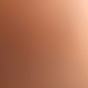 Meet your Posher, Desiree